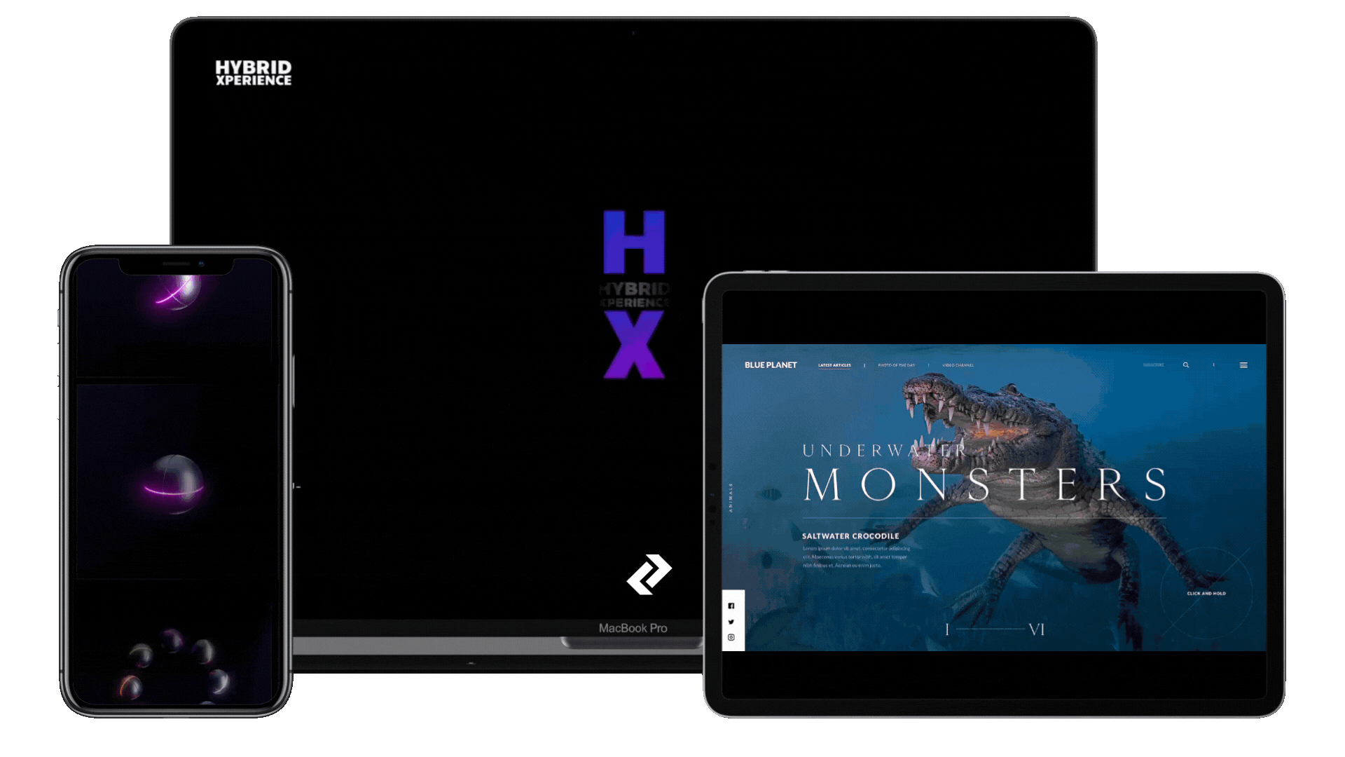 Descripción de la imagen